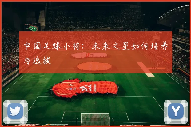 中国足球小将:未来之星如何培养与选拔